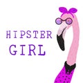 Portrait of Hipster flamingo girl in a fun neon glasses